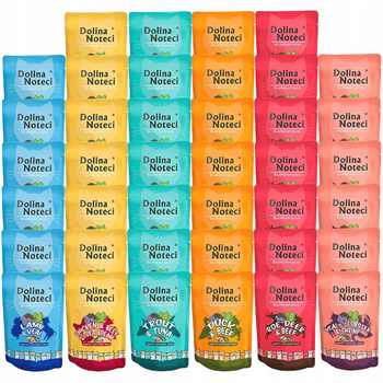 Dolina Noteci Superfood 40 x 85g mix karma mokra dla kota