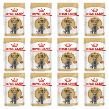 ROYAL CANIN British Shorthair karma mokra w sosie dla kotów 12 x 85 g