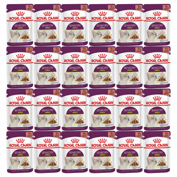 ROYAL CANIN Sensory Smell Gravy karma mokra w sosie dla kota 24 x 85g
