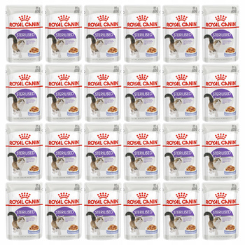 ROYAL CANIN Sterilised Jelly karma mokra w galaretce dla kota 24 x 85g