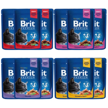 Brit Family Plate Chunks 12 x 100g mix mokra karma dla kota