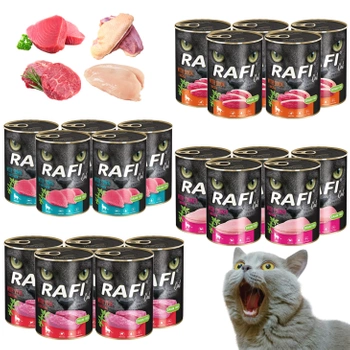 Karma mokra dla kota RAFI MIX Smaków 20 x 400g