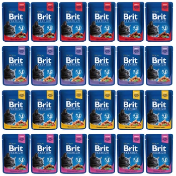 Brit Family Plate Chunks 24 x 100g mix mokra karma dla kota