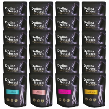 DOLINA NOTECI Premium Filet karma mokra dla kota mix smaków 24 x 85g