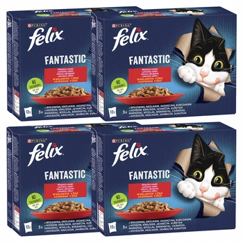PURINA Felix Fantastic karma mokra dla kota mięsny mix smaków 48 x 85g