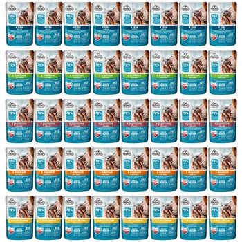Frendi mokra karma dla kota 40 x 100g Mix