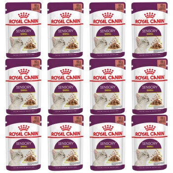 ROYAL CANIN Sensory Smell karma mokra dla kotów dorosłych 12 x 85 g