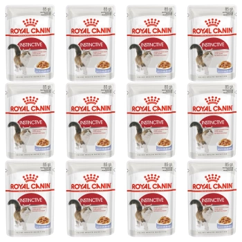 ROYAL CANIN Instinctive galaretka karma mokra dla kotów dorosłych 12 x 85 g