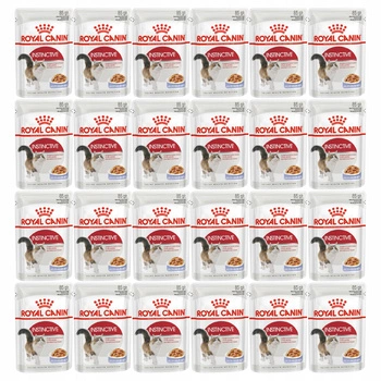 ROYAL CANIN Instinctive Jelly karma mokra w galaretce dla kota 24 x 85g