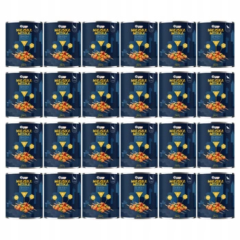 Gaczoo Miejska Miska karma mokra dla psa Shish z Kurczaka 24 x 800g