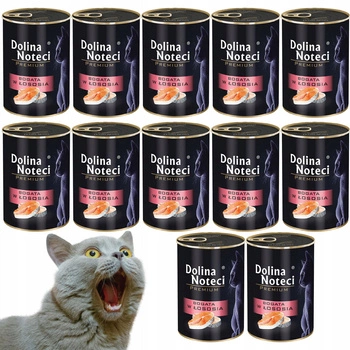 Dolina Noteci Premium mokra karma dla kota 12 x 400g Łosoś 