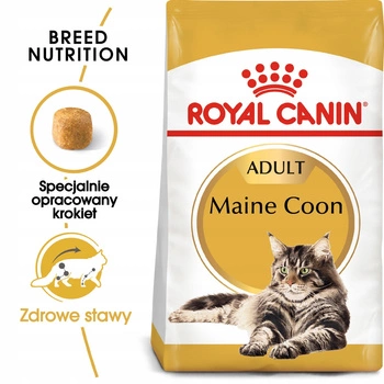 ROYAL CANIN Maine Coon Adult karma sucha dla kotów dorosłych 10 kg