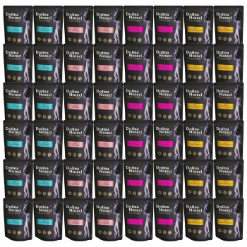 DOLINA NOTECI Premium Filet karma mokra dla kota mix smaków 48 x 85g