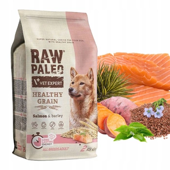 Raw Paleo Healthy Grain Karma sucha dla psa Łosoś 2kg