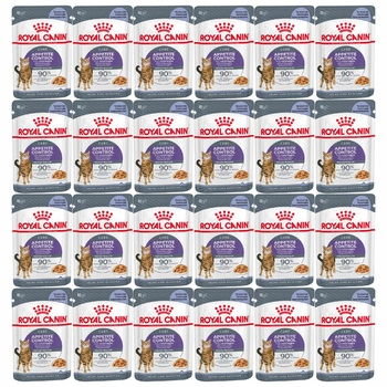 ROYAL CANIN Appetite Control Jelly karma mokra galaretka dla kota 24 x 85g