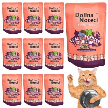 Dolina Noteci Superfood mokra karma dla kota 10 x 85g Cielęcina Homar