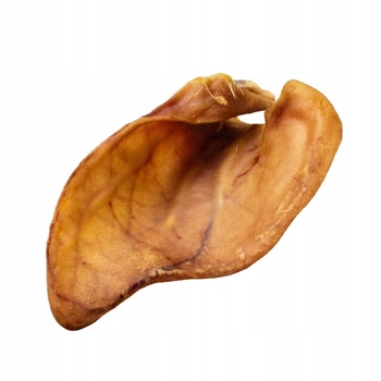 GACZOO 100% Naturalny przysmak dla psa Ucho Wieprzowe Duże XL 1 szt
