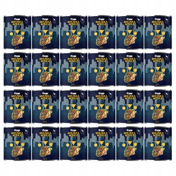 Gaczoo Miejska Miska bez zbóż karma mokra dla psa Kebab Jagnięcy 24 x 800g