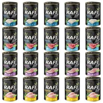RAFI CAT Dolina Noteci Karma mokra dla kota mix smaków 20 x 400g bez zbóż
