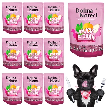 DOLINA NOTECI Superfood Karma mokra dla psa Kaczka Przepiórka 10 x 300g Bezzbożowa