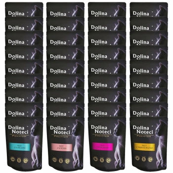 DOLINA NOTECI Premium Filet karma mokra dla kota mix smaków 36 x 85g