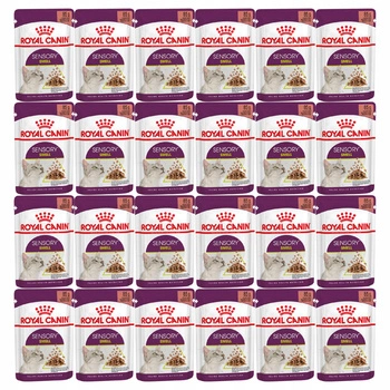 ROYAL CANIN Sensory Smell Gravy karma mokra w sosie dla kota 24 x 85g