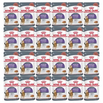ROYAL CANIN Appetite Control Gravy karma mokra w sosie dla kota 24 x 85g
